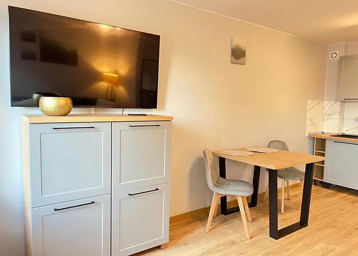 アパート Kawalerka W Miescie 65 ウッチ