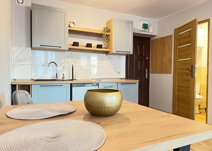 Kawalerka W Miescie 65 *